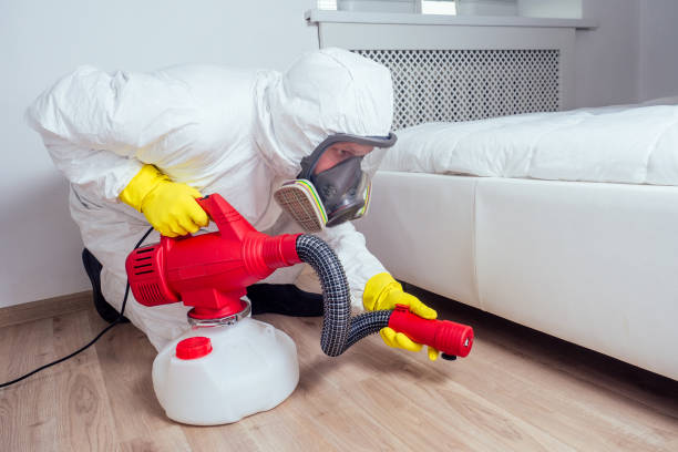 Professional Pest control in North Merrick, NY